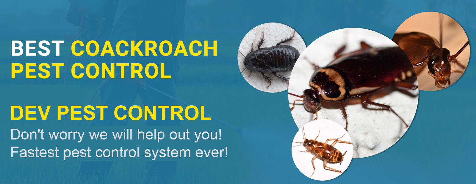 Pest Control in Bhopal