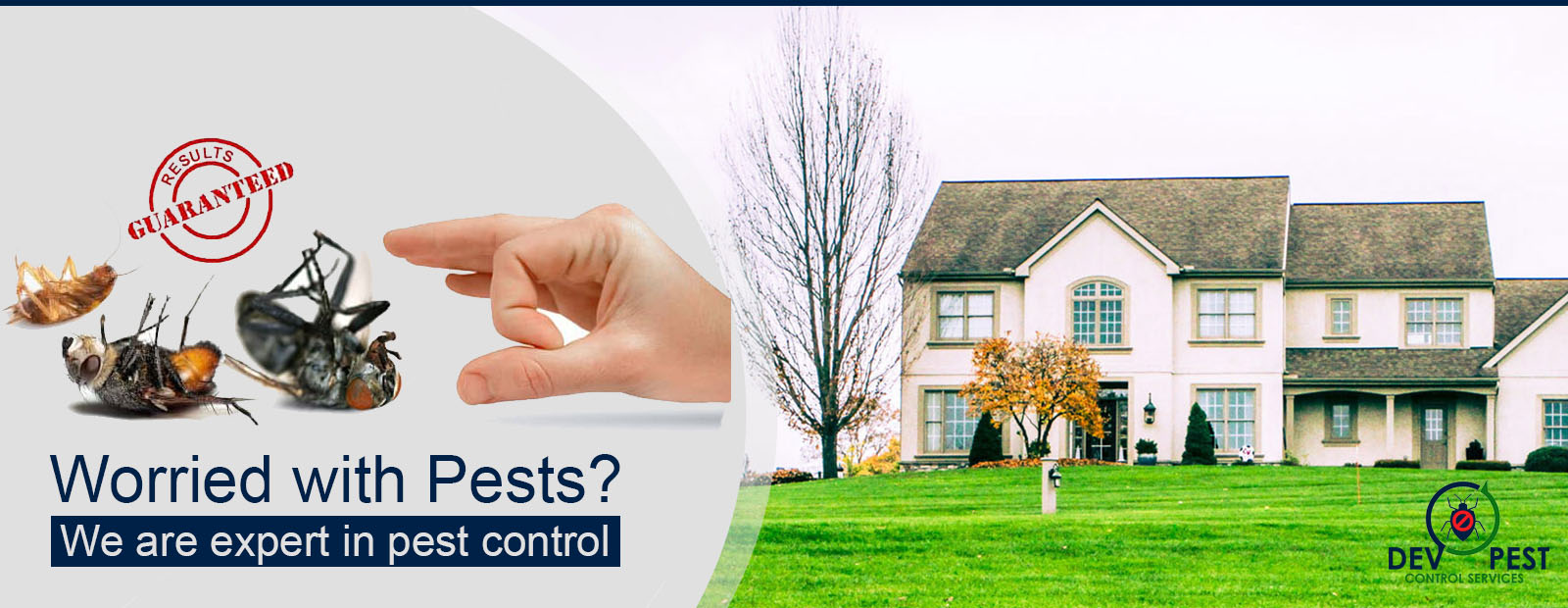 Pest Control in Bhopal